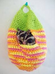Pin By Kelly Stubbs On Love Em Sugar Glider Sugar Glider Toys Sugar Glider Pouch