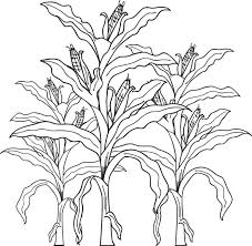 Corn Stalks Coloring Page Fall Coloring Pages Coloring Pages Farm Animal Coloring Pages