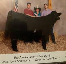 Rio Arriba Cloverleaf, Feburary 2022