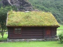 Epingle Sur Jardinage