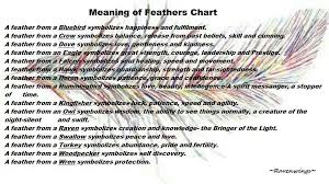 Meaning Of Feathers Chart Paganism And Beyond Feather