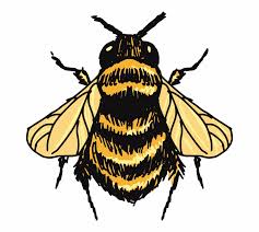 Posted by nur fildzhah willyanda posted on october 07, 2019 with no comments. Honey Bee Drawing Png Bumble Bee Drawing Transparent Png Download 539442 Vippng