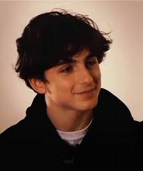 Timothee Chalamet Paris Song