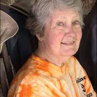 Patricia Faye Sullivan Obituary (2022)