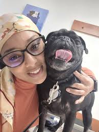 What causes rash in pugs and how to help?