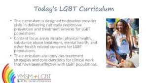 Https Www Ymsmlgbt Org Wp Content Uploads 2018 05 Lgbt Curriculum Trainers Guide 2016 05 14 Pdf