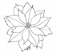 Coloring pages are fun for children of all ages and are a great educational tool that helps children develop fine motor skills, creativity and color recognition! Poinsettia Coloring Book Flower Christmas Poinsettia Free Transparent Background Png Clipart Hiclipart