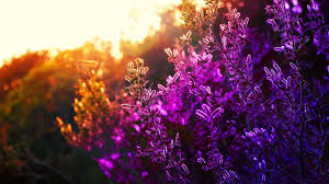 Relaxing Music Peaceful Positive Smooth Light Music Season 1 Best Of Youtube