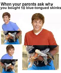 Redundancy it makes zac efron look even dumber. Zac Efron Blue Tongue Skinks Image 1 01 Day 148 5 Of The Reptile A Day Spirit Lifter Campaign Album On Imgur