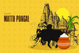 This festival is equivalent to the makar sankranti celebrated. 3nbk0tupnjgegm