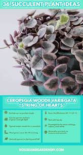 50 Beautiful Succulent Garden Ideas Varieties Succulent Garden Indoor Outdoor In 2020 Garden Care Succulents Succulent Garden Landscape