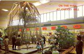 The Giant Bird Cage At The Cherry Hill Mall The Mall Is Still There Bigger Than Ever But The Giant Bird Cage Is Long Gone Cherry Hill Mall Vintage Mall Mall