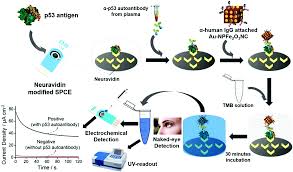 Superparamagnetic Nanoarchitectures For Disease Specific