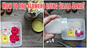 Using the silica for drying the flowers is one of the simplest way with less supervision or maintenance required. How To Dry Flowers Using Silica Sand Drying Your Own Flowers For Your Resin Projects Is So Easy Youtube