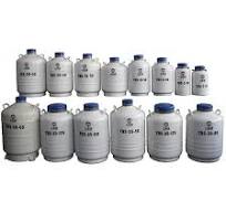 2L 3L 6L 10L 15L 20L 30L Tanque de nitrógeno líquido, transportador seco,  dewar criogénico, contenedor de nitrógeno líquido para inseminación  artificial