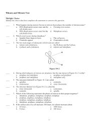 Compare the number and type of cells that result from meiosis vs. Mitosis And Meiosis Multiple Choice Test Answer Key