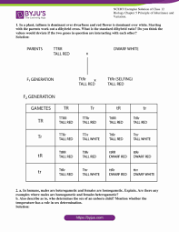 Worksheets are dihybrid cross, chapter 10 dihybrid cross work, dihybrid cross work, punnett squares dihybrid crosses, work dihybrid crosses, dihybrid cross name, work monohybrid crosses, monohybrid cross work. Ncert Exemplar Solutions Class 12 Biology Chapter 5 Principles Of Inheritance And Variation Get The Pdf Here