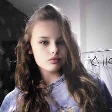 Annie Chun's Teriyaki Noodle Bowl