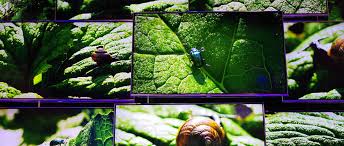 New Year S Resolution The Ultimate Guide To Uhd Tv Reviewed Televisions