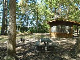 Martin dies state park cabins. Martin Dies Jr State Park Cabins With A Screened Porch Texas Parks Wildlife Department