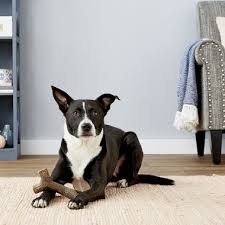 When in doubt, choose the larger size chew toy for safety's sake. Purchase Benebone Maple Stick Up To 68 Off