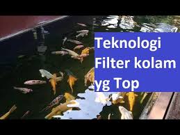 Sistem Filter Alami Natural Filter System Air Jernih Dan Bersih Youtube