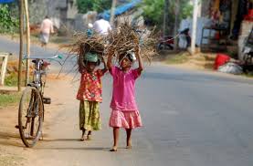 The School Dropout Rate: A Pressing Issue Requiring Immediate Attention M L  Satyan :: Indian Currents: Articles