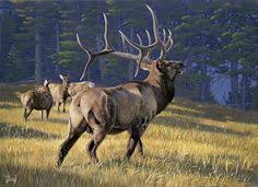 I had a deer try to sneak in to the water hole, but kept turning back upon seeing the cow elk decoy. 270 Pyrography Elk Ideas Elk Bull Elk Elk Pictures