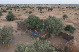 The building owners and managers association (boma international), founded in 1907, is a professional organization for commercial real estate professionals based in the united states and canada. Giraffe In Boma 3 C Gcf Sean Viljoen Africa Geographic