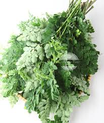 Resep sayur bening daun kelor dapat anda lihat pada video berikut. Sayur Bening Daun Kelor Just Try Taste