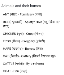 Pin By Poonam Jajoo On English Grammar Learn English Vocabulary English Language Learning Hindi Language Learning