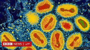 فيروس كورونا ما الذي يجعل بعض الفيروسات القاتلة تختفي فجأة Bbc News عربي