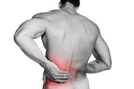 Do you have low back pain? Common Sources Of Back Hip Pain Physioflow