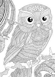 Read reviews and buy stress less coloring paisley patterns adult coloring book:100+ coloring pages for peace and relaxation by adams media (paperback) at target. Free Adult Paisley Coloring Pages Coloring Home