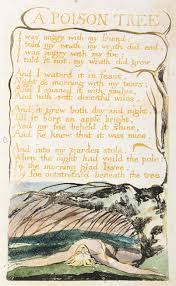 Fruit of the poisoned tree. A Poison Tree Wikipedia