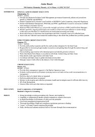 Fair lending training is nonexistent or weak. Credit Executive Resume Samples Velvet Jobs