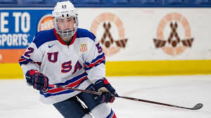 There are many types of hockey such as bandy, field hockey, ice hockey and rink hockey. 2020 Draft Berard Playing Beyond Size For Usa Hockey