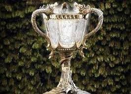 Solo Si Sacas Mas De 8 En Este Examen Podrias Entrar A Hogwarts Harry Potter Goblet Harry Potter Wiki Triwizard Cup