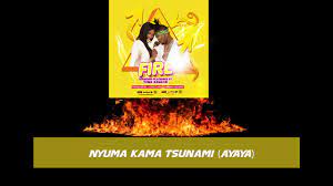We did not find results for: Diamond Platnumz Fire Lyrics Youtube