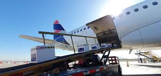 30 flat beds seat (2/2/2) premium economy: E5xsdkkje6hmgm
