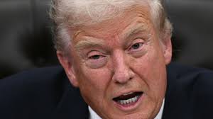 Remembering Hardy Boys author Leslie McFarlane