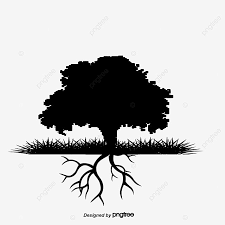 Slikovni rezultat za clipart firstgraders black and white. Black Tree Trees Root Png Transparent Clipart Image And Psd File For Free Download