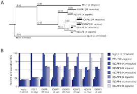 Semoga kesucian hati tidak hanya untuk idul fitri selamat idul fitri. Iqgap1 Insights Into The Function Of A Molecular Puppeteer Abstract Europe Pmc