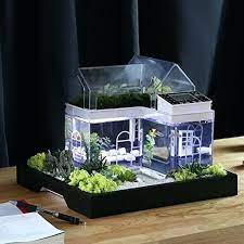 A 10 gallon fish tank can perfectly fit on a desk or stand making it perfect for the internal decor. Desk Aquarium Fish Tank Desk Fish Tank Office Adammayfield Co Fish Tank Lights Fish Tank Themes Fish Tank Terrarium