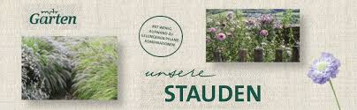 Selbst gemacht für wenig geld. Mdr Garten Unsere Stauden Ideale Wegbegleiter Durch Das Gartenjahr Schone Horst Amazon De Bucher