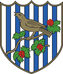 Download this vip guest badge, vip, distinguished guest, badge png clipart image with transparent background or psd file for free. West Bromwich Albion Logo Download Logo Icon Png Svg