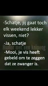 Pin Van Annelotte Koudijs Op Humor Grappige Citaten Grappige Teksten Humor Grappig