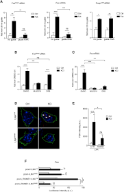 Su función es aún uno de los misterios de esta antigua ciudad inca alberga algunas de las estructuras más increíbles que existen como el templo de las 3 ventanas, el intihuatana, el templo. Enhancer Sines Link Pol Iii To Pol Ii Transcription In Neurons Abstract Europe Pmc