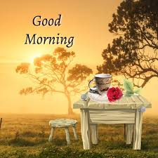 Morning is the best time of the day to share your true blessing and prayers to the one who is close to your heart. 12 Good Morning Template Postermywall