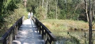 Radtour Radweg Um Den Tegernsee